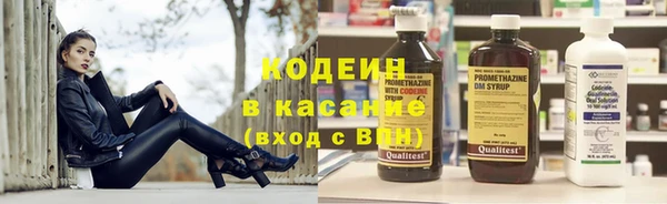 2c-b Бородино