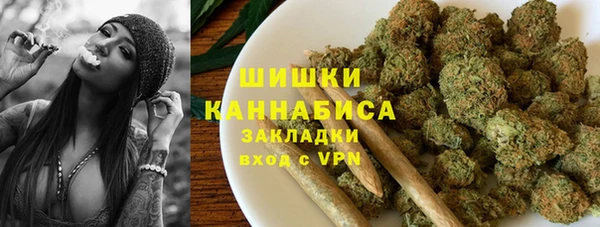 мдпв Бронницы