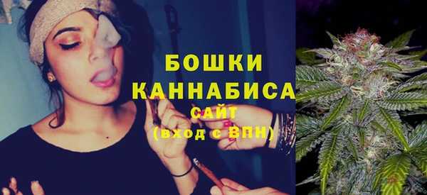 2c-b Бородино
