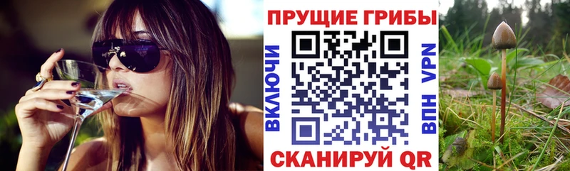 что такое наркотик  Отрадная  Псилоцибиновые грибы прущие грибы 
