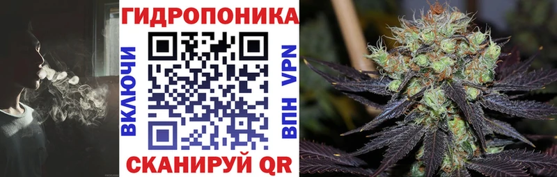 кракен рабочий сайт  Отрадная  Марихуана SATIVA & INDICA 